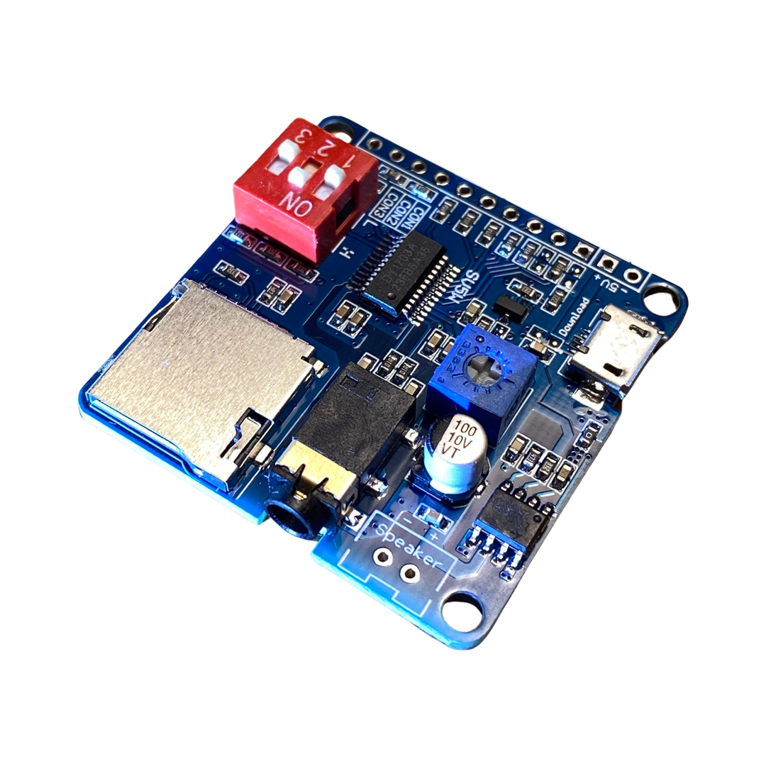 Audio Module DY-SV5W